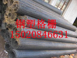 供應成都鋼塑土工格柵產品質量穩定可靠
